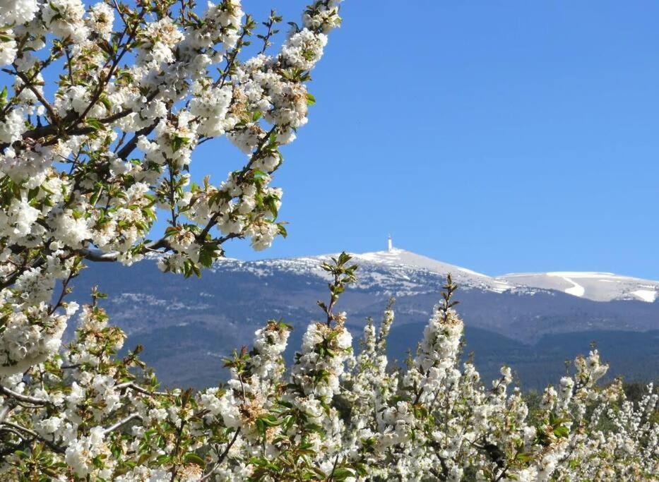 Les Tarraiettes Au Pied Du Luberon Vila Lourmarin Exterior foto